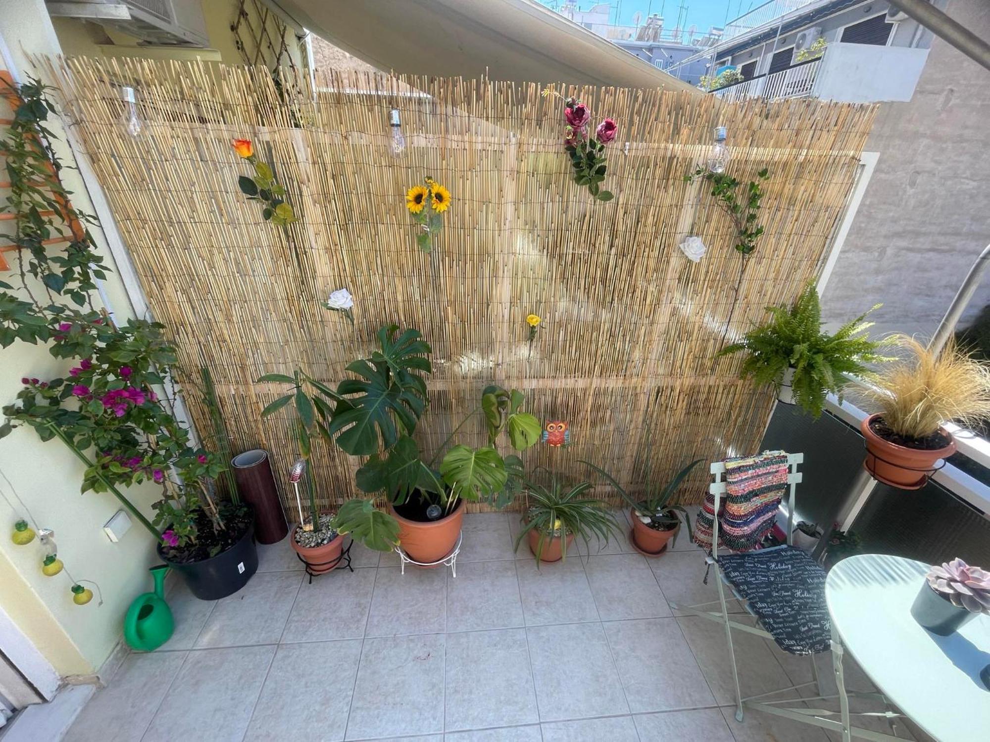 Sunny Studio Atina Dış mekan fotoğraf