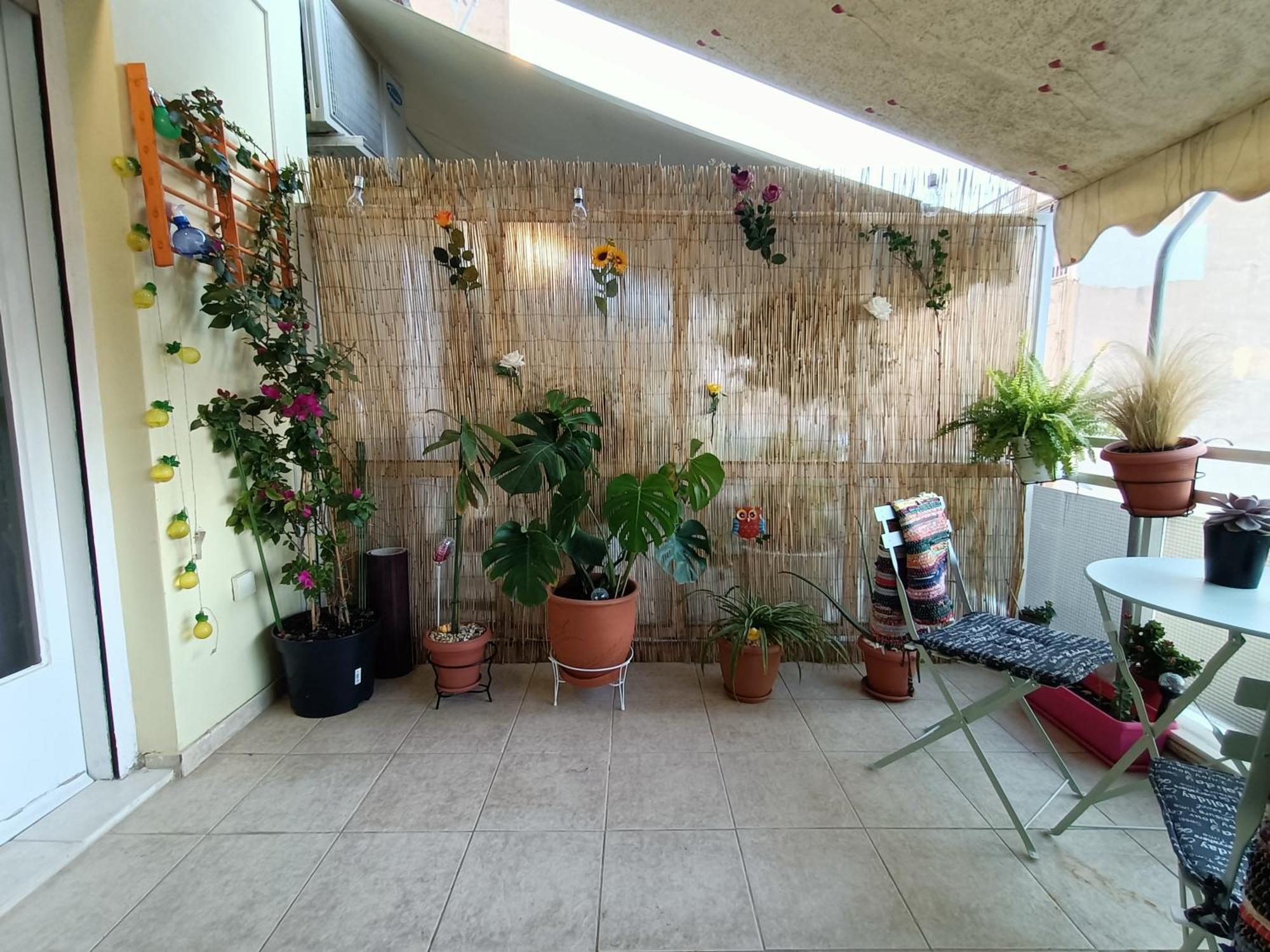 Sunny Studio Atina Dış mekan fotoğraf